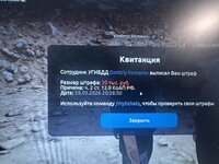 IMG_1203.jpeg