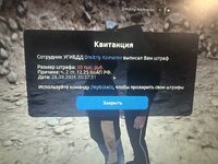 IMG_1200.jpeg