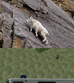 Без имени-1.png