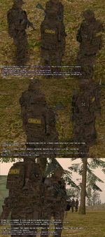 СС1.png