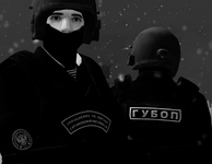 z8.png