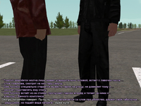 ss13.png