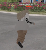 1779113934200.png