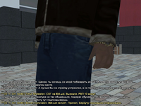 ss9.png