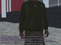 ss12.png