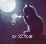 1779996211008.png 1779996211008.png