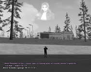 11.png
