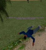 9.png