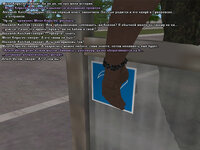 CC17.jpg