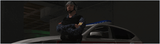 0702.gif