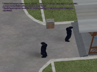 уборка3.png