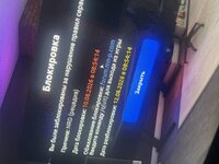 IMG_4026.jpeg IMG_4026.jpeg