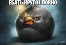 IMG_8420.png