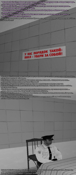 31231123.png