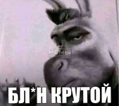 1786986240173.png