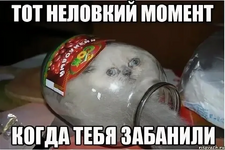 1787075979320.png