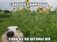 1000067825.jpg
