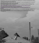 куку3.png