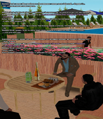 15.png
