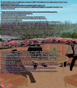 17.png