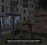 323.jpg