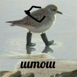 1791396811357.png