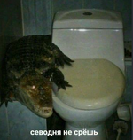 1793026371158.png