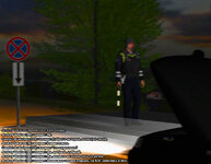 ss1.jpg