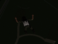 10.png
