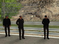 ss-10.png