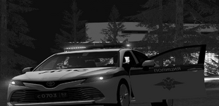 1753130972106.png