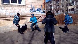 YGRBX7q_msiN-afP0Dc_yVmJKI37WIXgiYdptrwiyXgYXsR9Hge6EASK33D2yyhAEiCImOuvTNd0CSsWTaw8eqdd.jpg