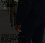 сс29.jpg