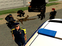 5.png