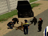 6.png