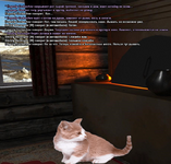 котик.png
