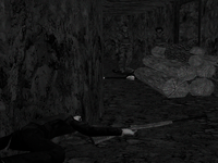 20.png