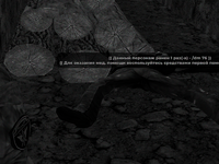 21.png