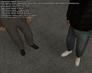 ss6.png