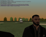 ss9.png
