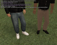 ss10.png