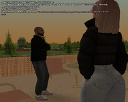 ss12.png
