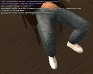 ss13.png