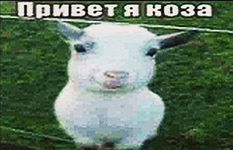 1760356922839.png