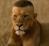 1760357801212.png