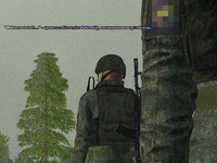 полевой1.png