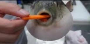 1768162655156.png 1768162655156.png