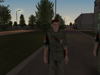 Без имени-1.png