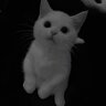 ksayton