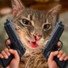 Inspector114